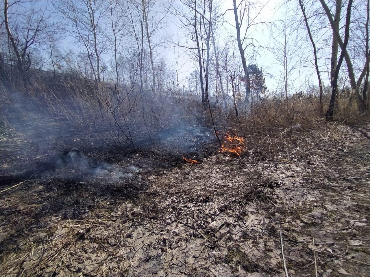 Фото У Обского моря в Новосибирске начался ландшафтный пожар 2